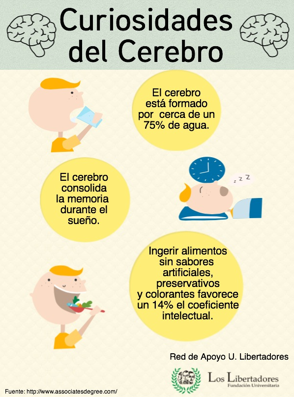 CEREBRO.png