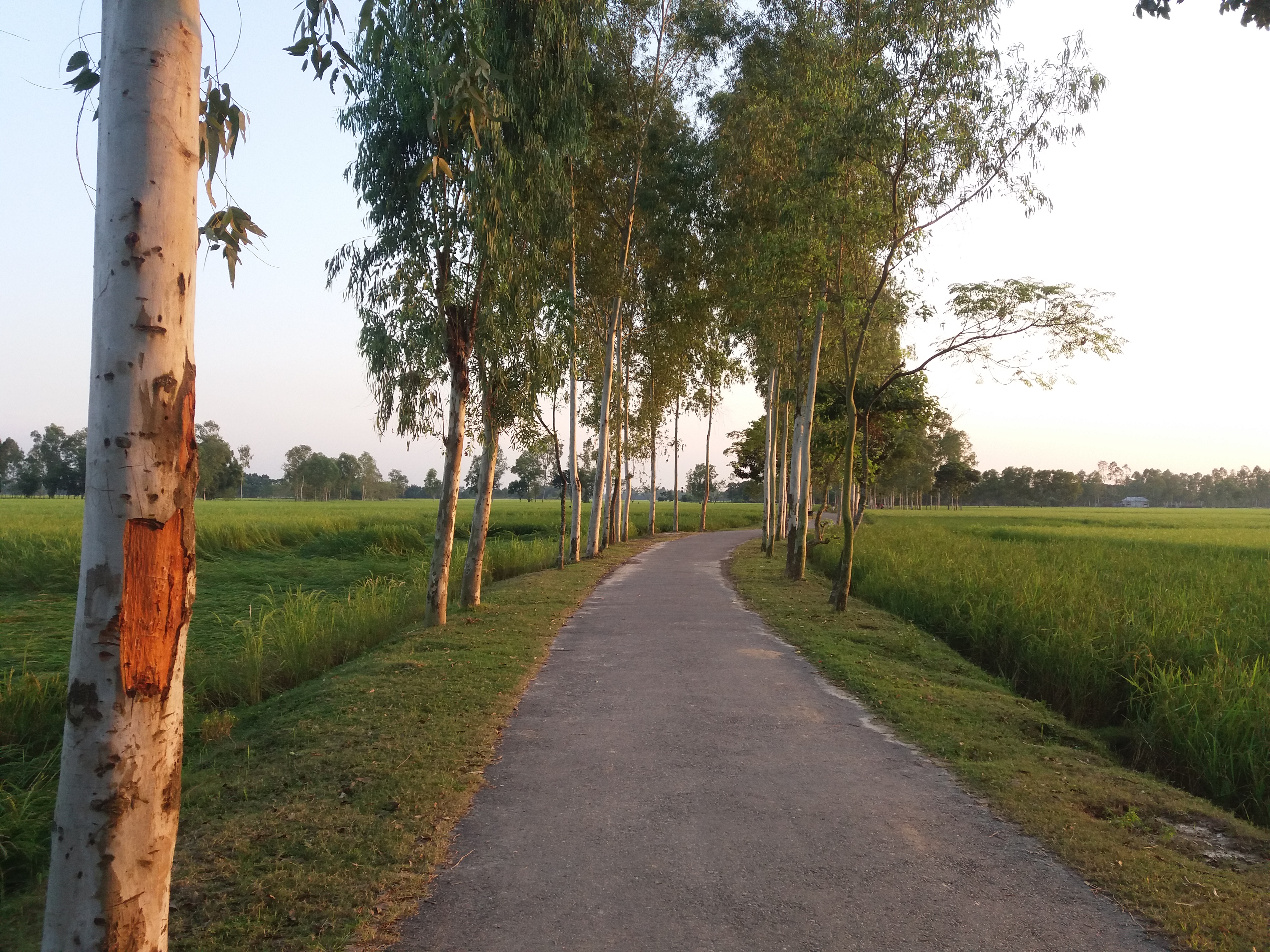 20201101_165511.jpg