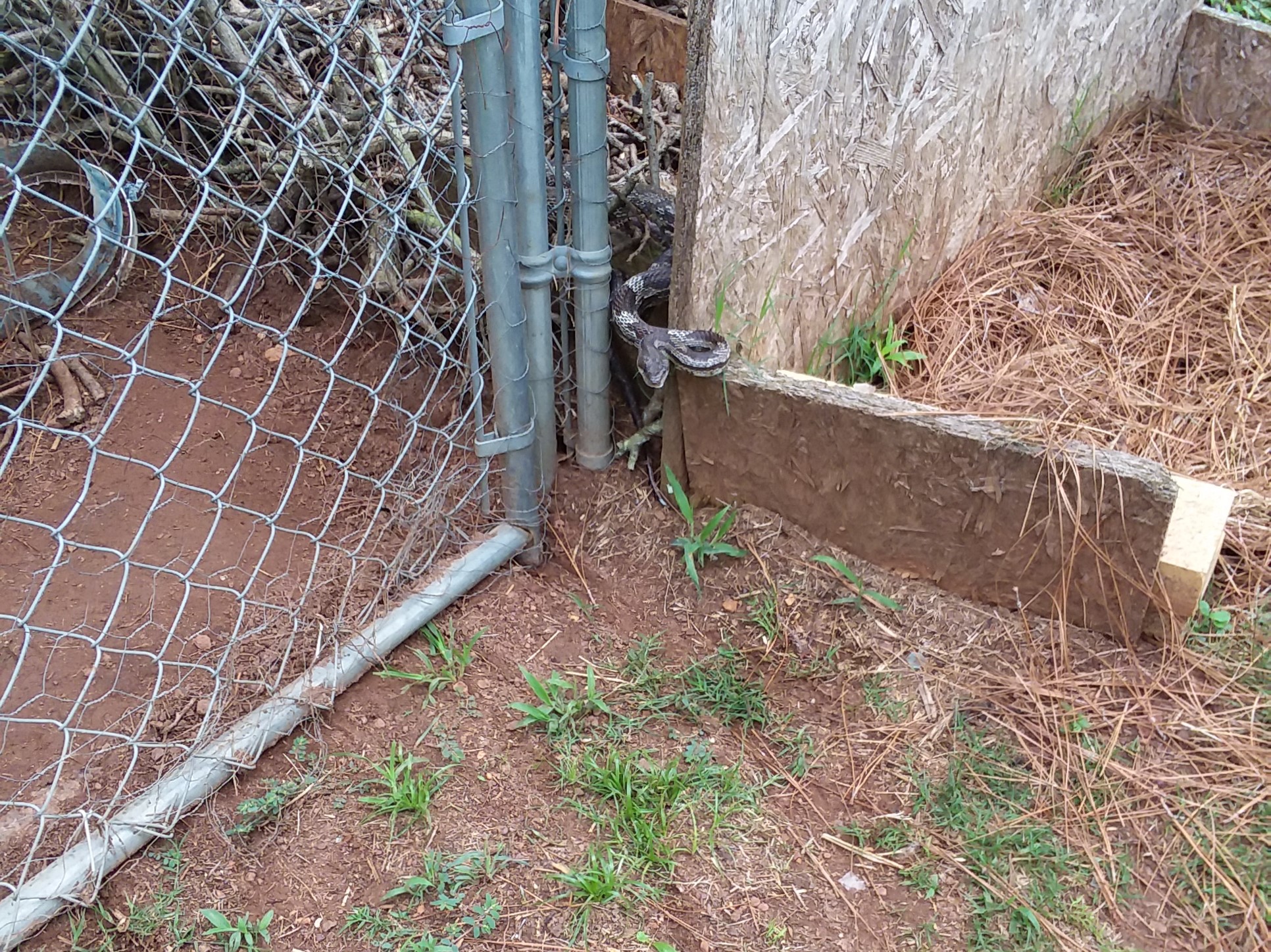 20180524_133202 (2).jpg