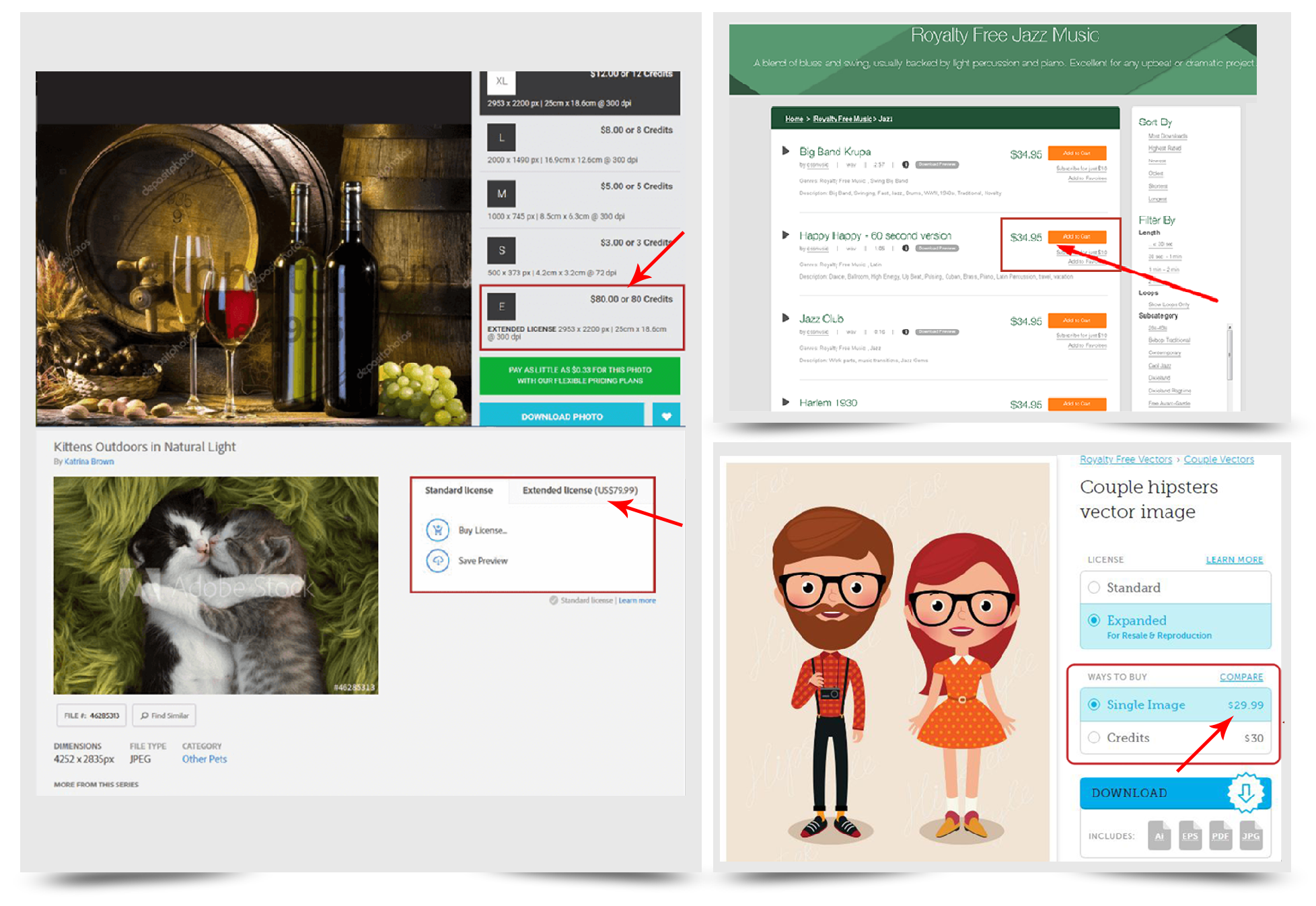 Ultimate Media Asset Kit Review1.png