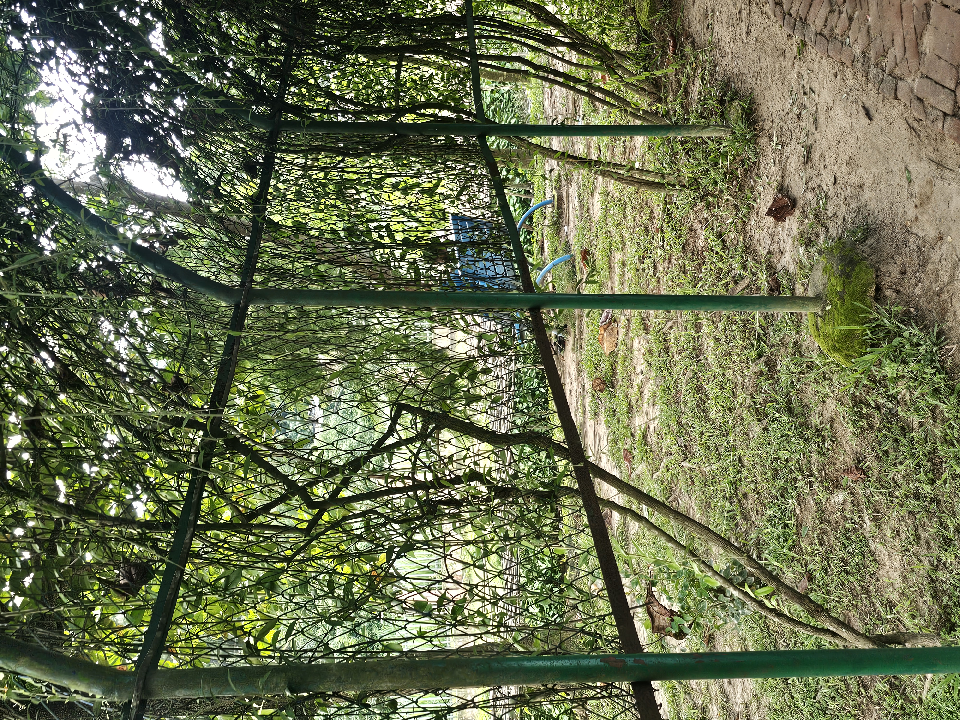 20251010_141054.jpg