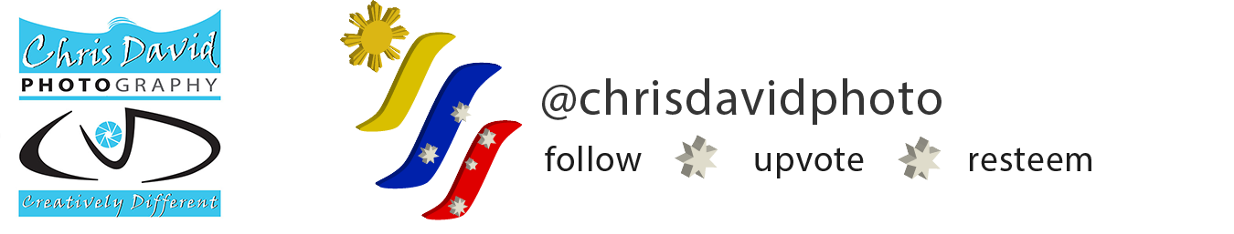 chrisdavidphotobanner.png