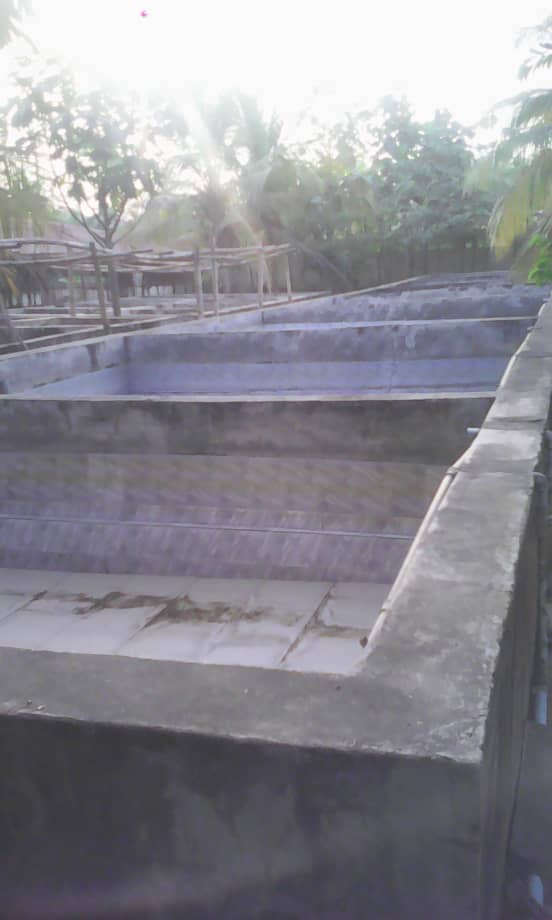IMG-20200106-WA0048.jpg