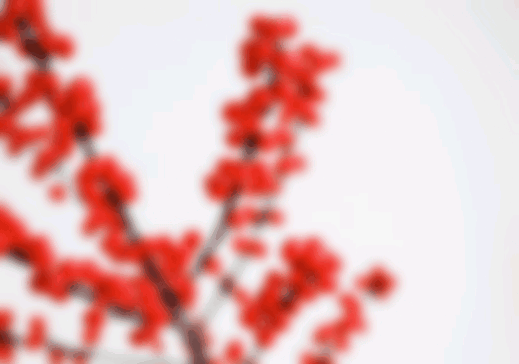 1644609269872.gif