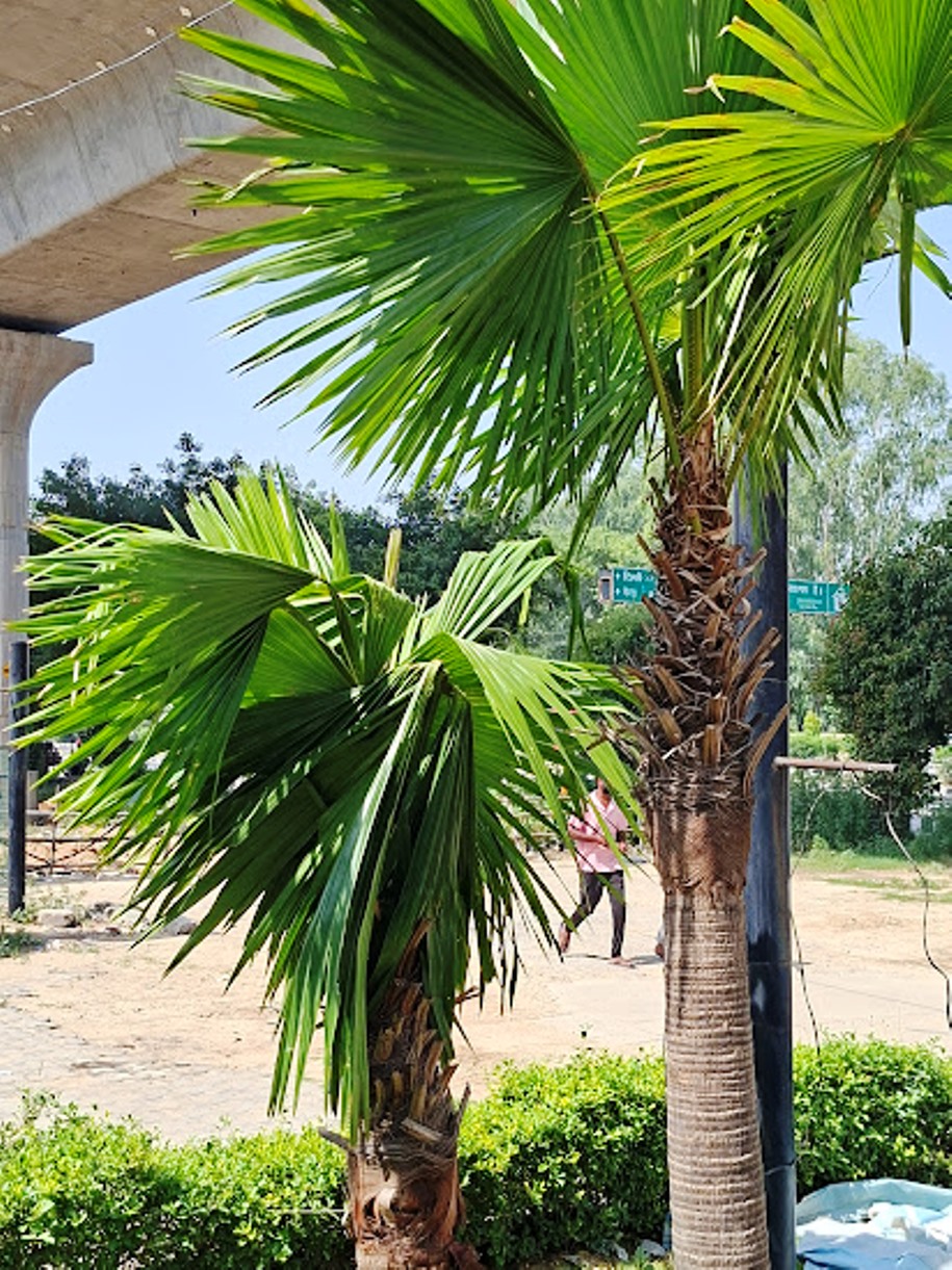 20260516_094449.jpg