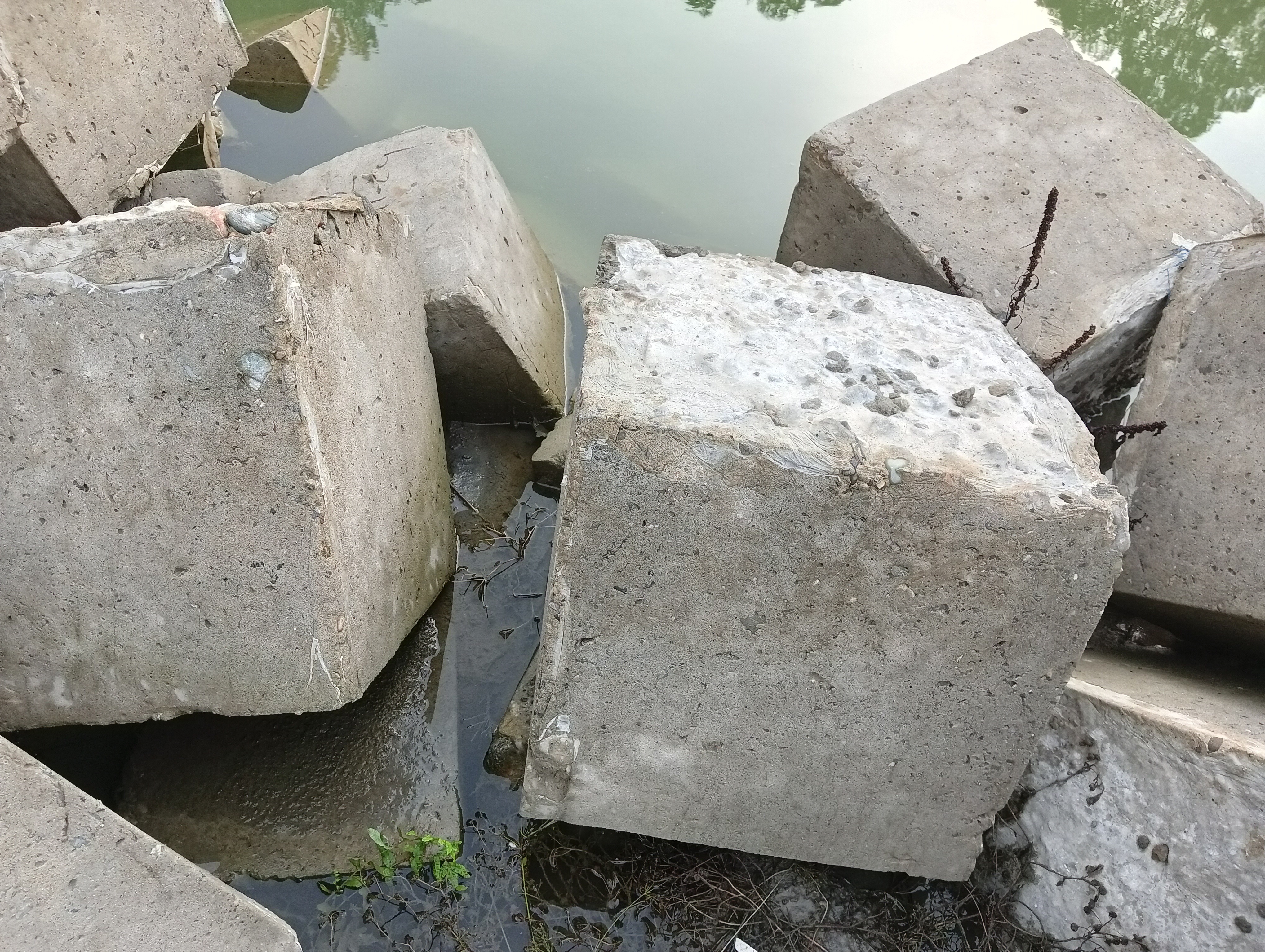 IMG20260515174343.jpg