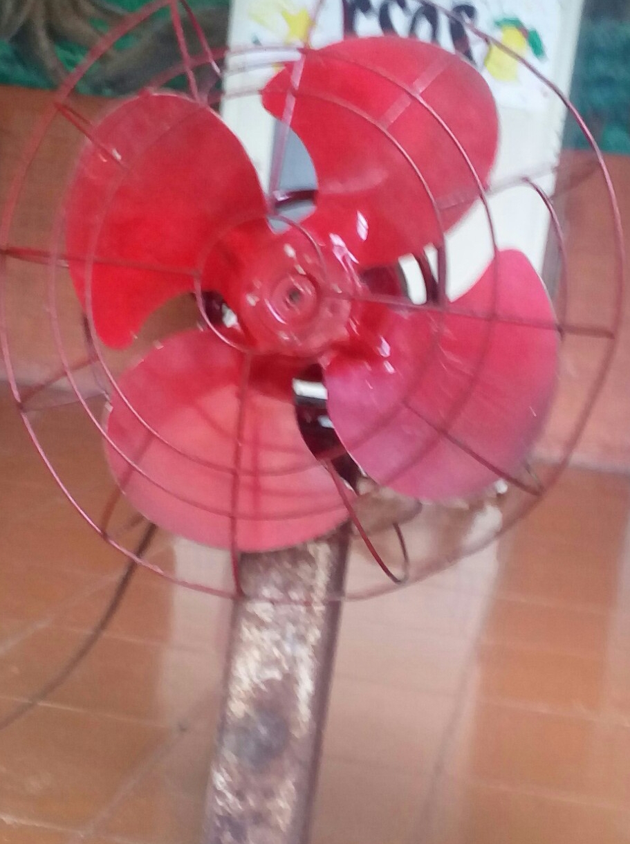 Polish_20210702_172732734.jpg