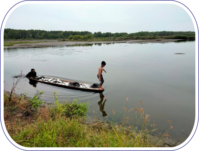 TESTNET.00152.b.suryati1.fish.jpg