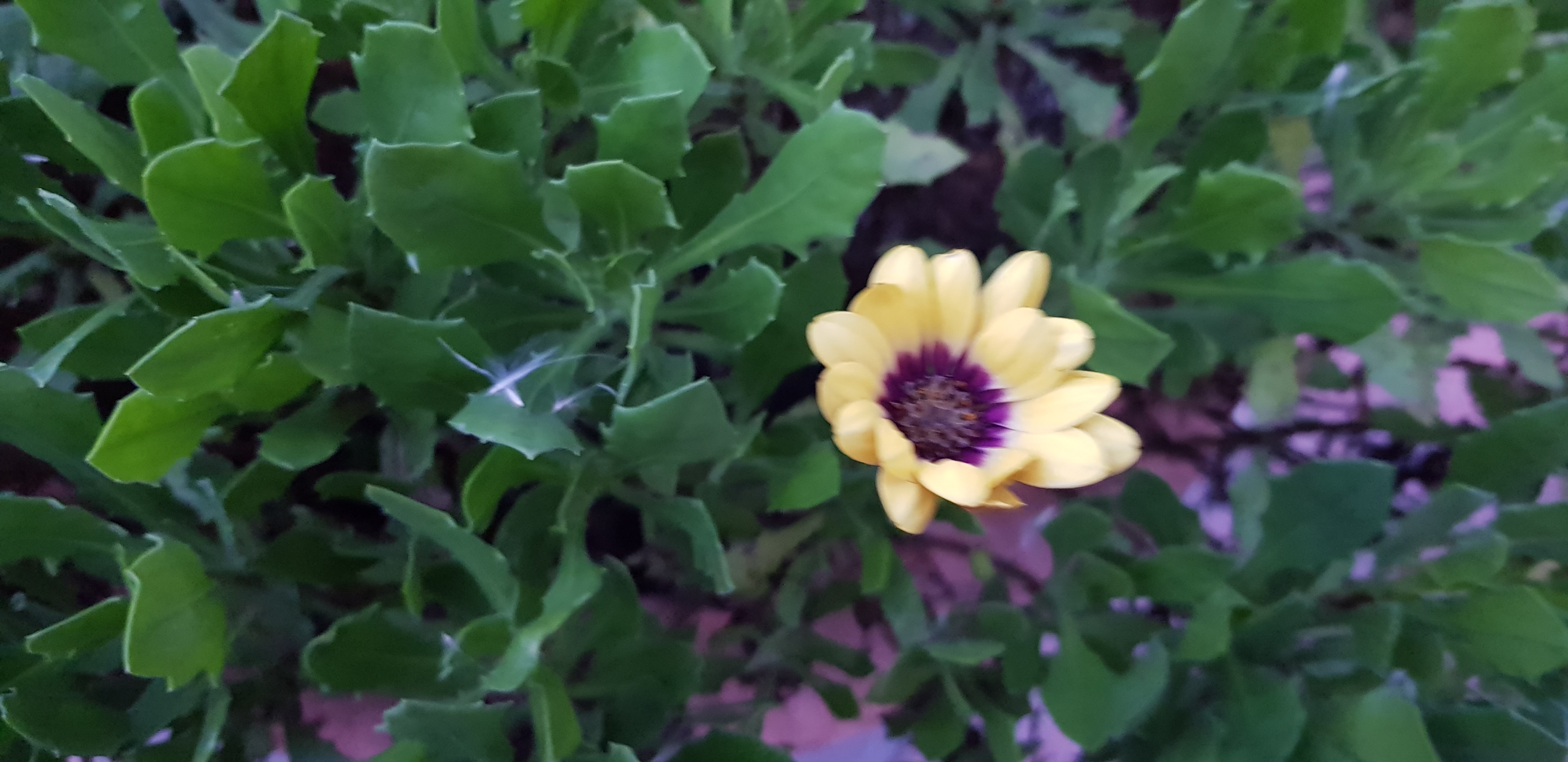 20190920_182929.jpg