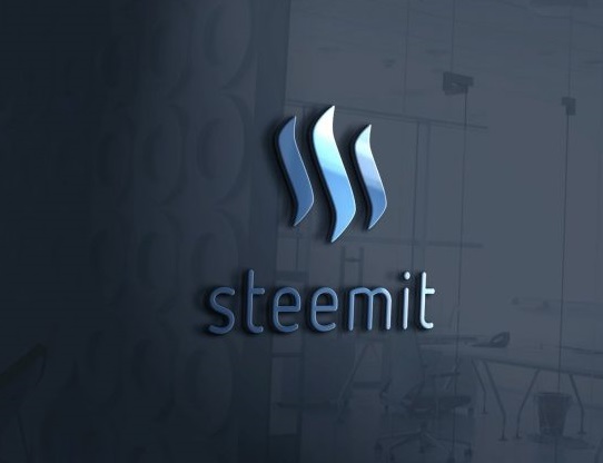 steenit