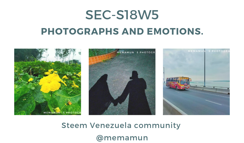 Professional Photography Business Card_20240623_182956_0000.png