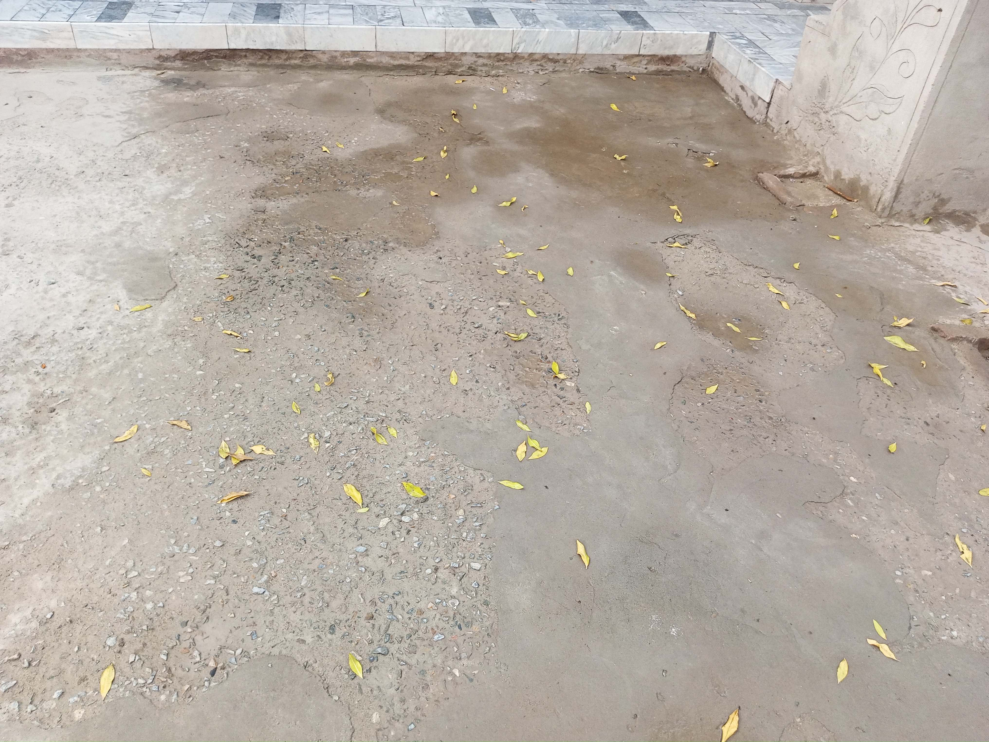 IMG_20240629_182412_493.jpg