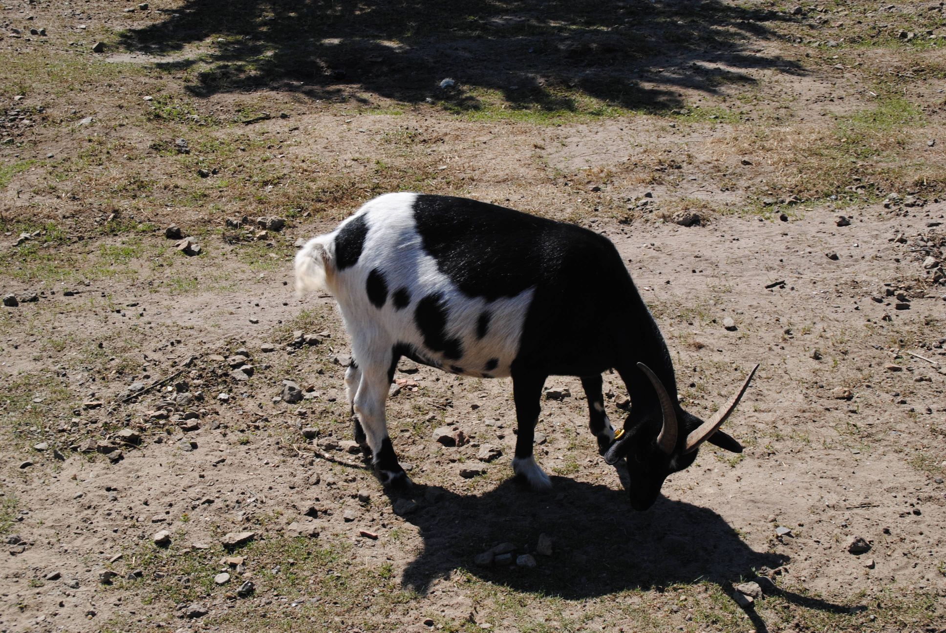 image143.jpg