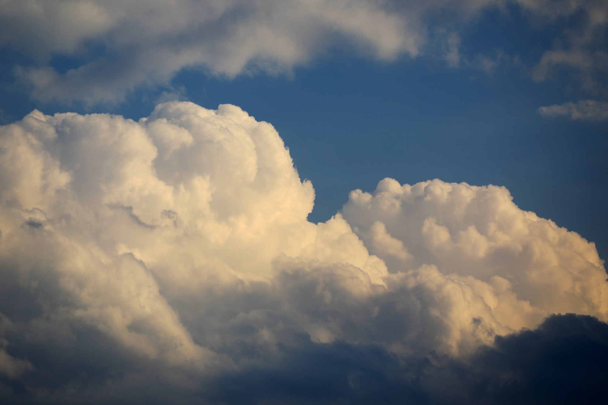 093A7797-2.JPG