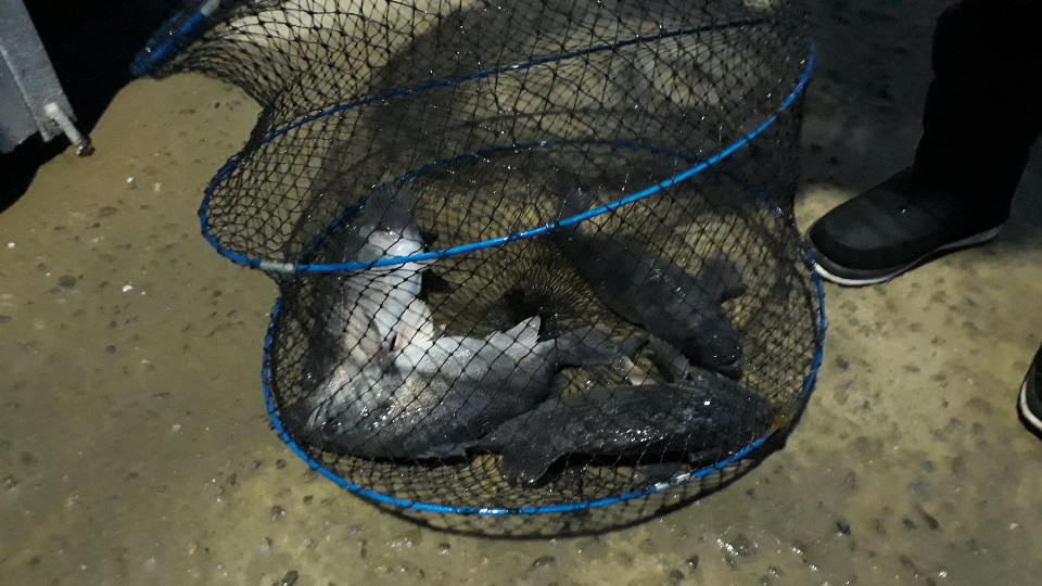 KakaoTalk_20190325_130512197.jpg