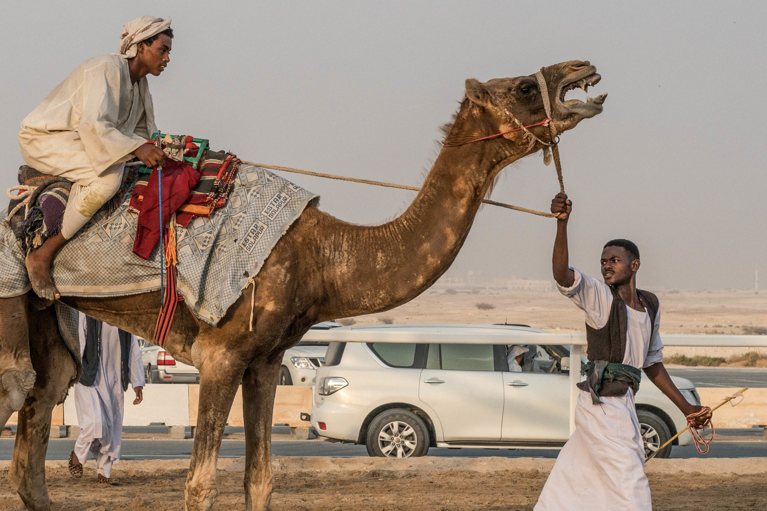 Camel+Robots+by+Far+Features+_+Far+Features+media+production+company+_+Qatar+Desert+_+animal+abuse+_+photo+essay (1).jpeg