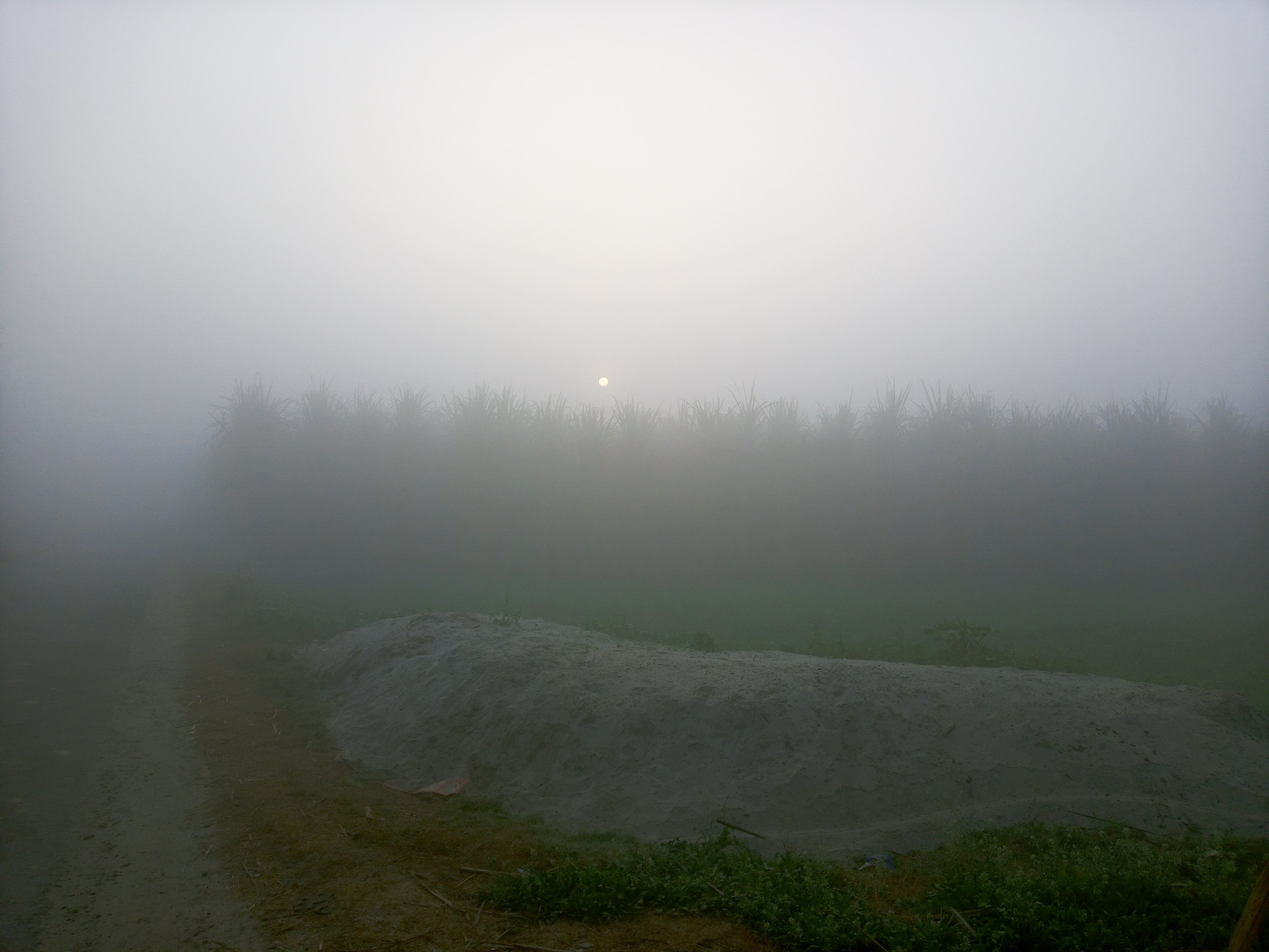 20221211_074448.jpg