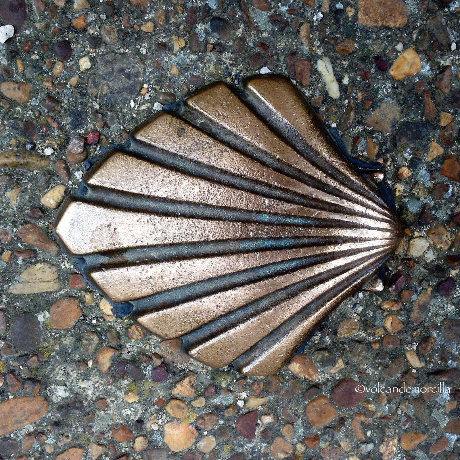 main_image