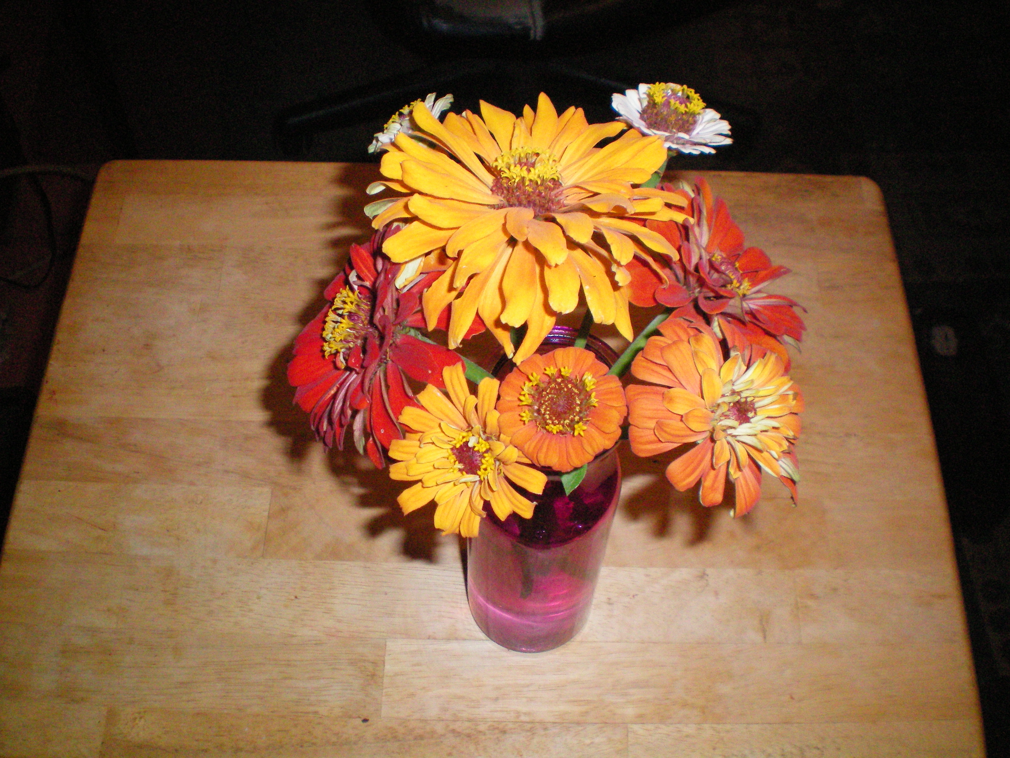 100_0011.JPG
