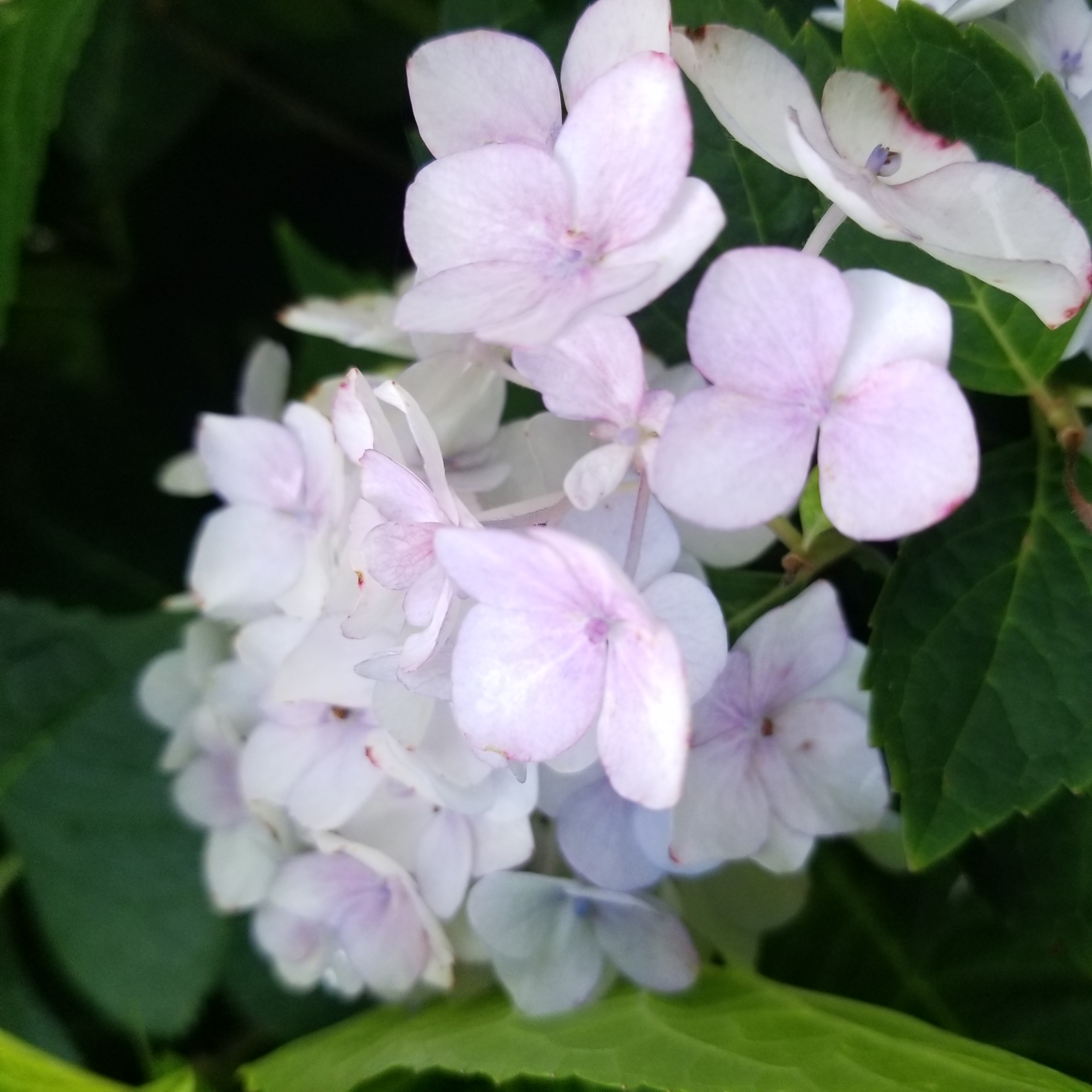 20180728_125409.jpg