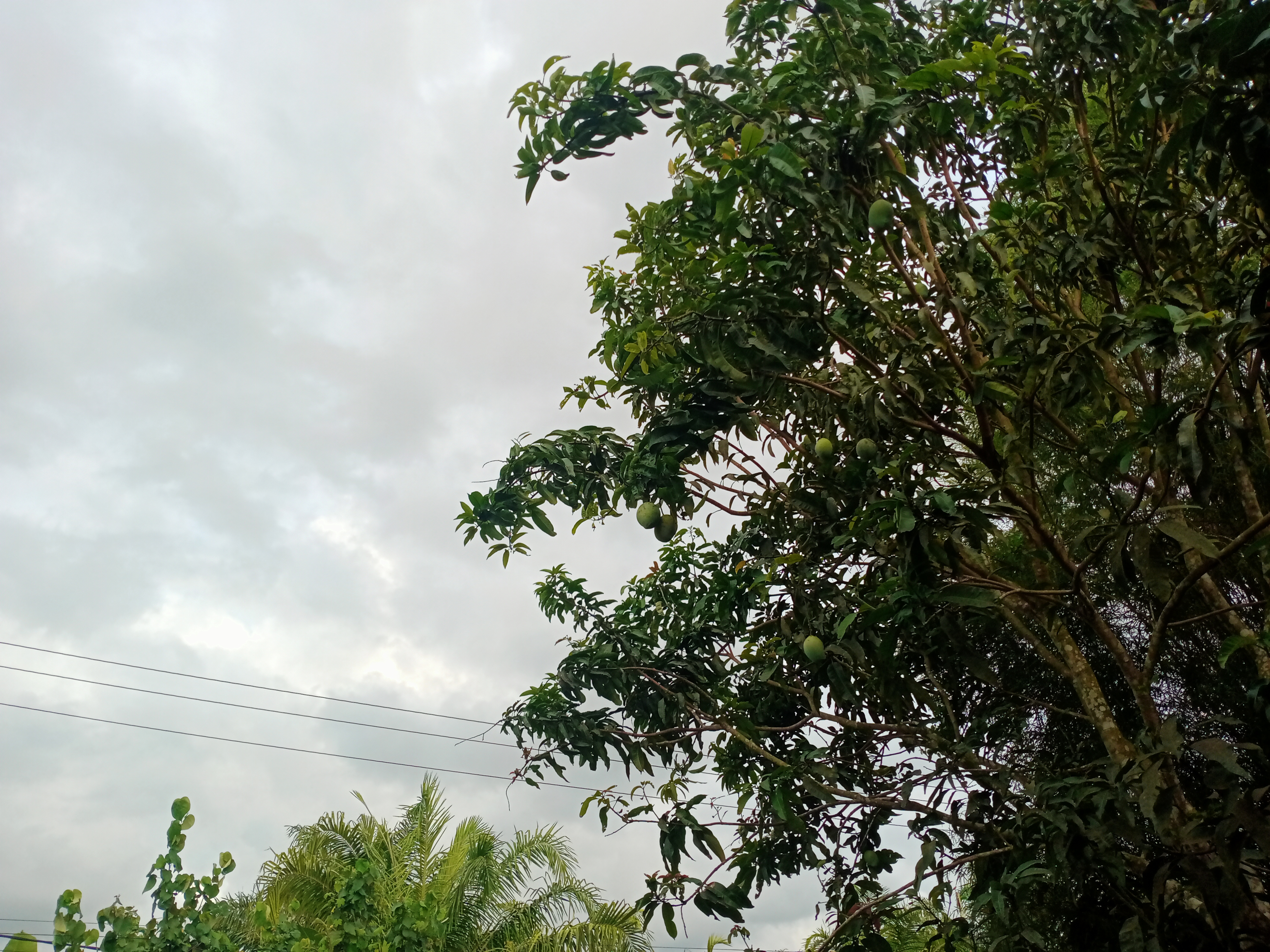 IMG20260519180426.jpg