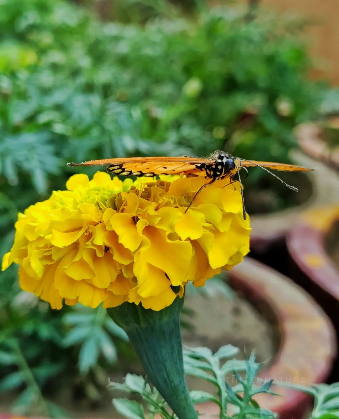 IMG_20230610_103949.jpg