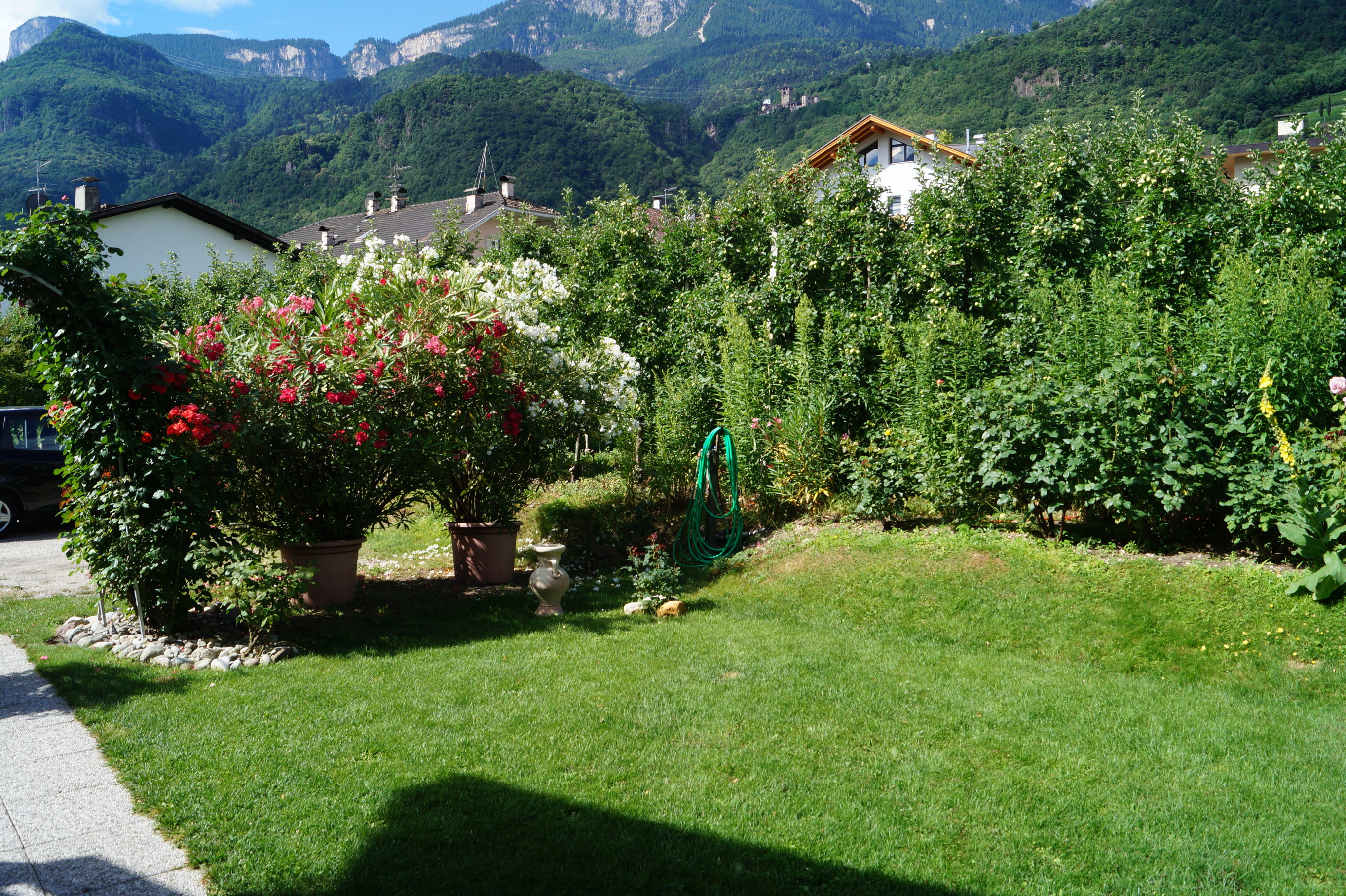 20180625_100306-DSC07022.jpg