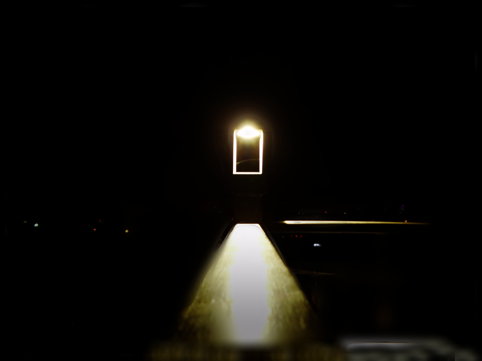 3129.png