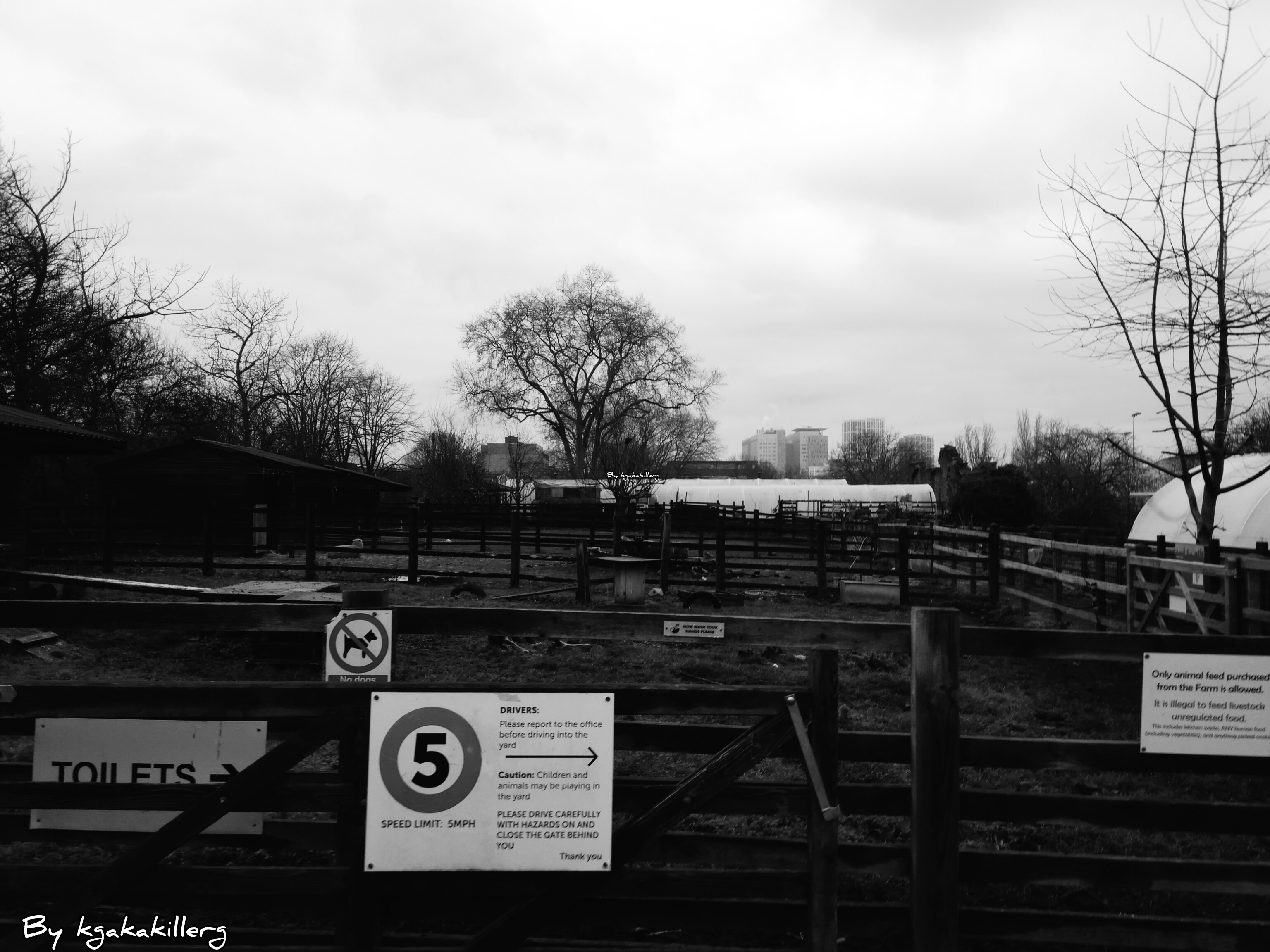 kgakakillerg original content.A Trip To Stepney City Farm| Walk Around Stepney City Farm January 2025 part 1 💯 Original Content