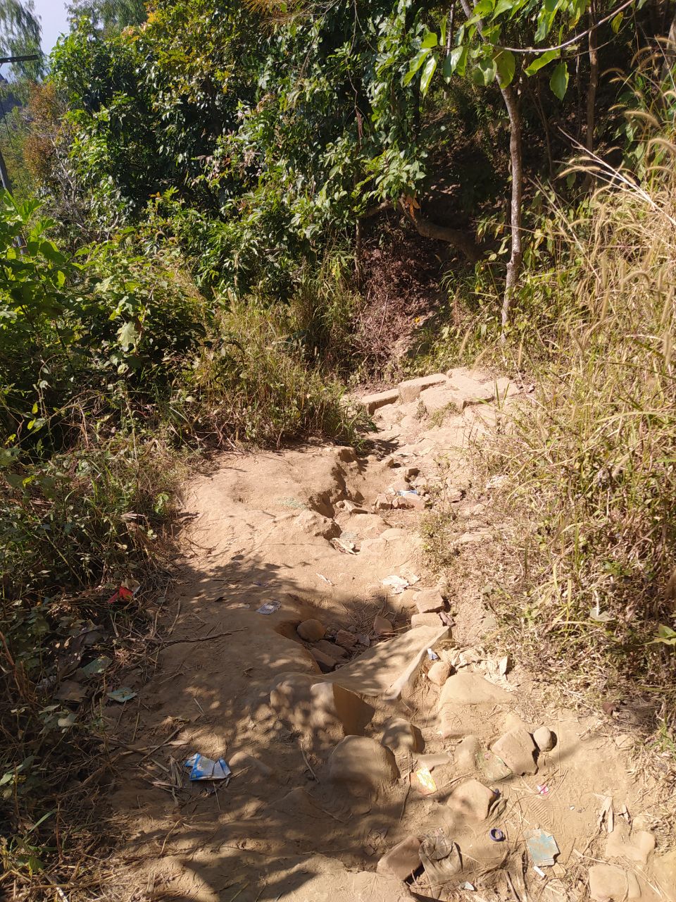 IMG_20201229_000203_388.jpg