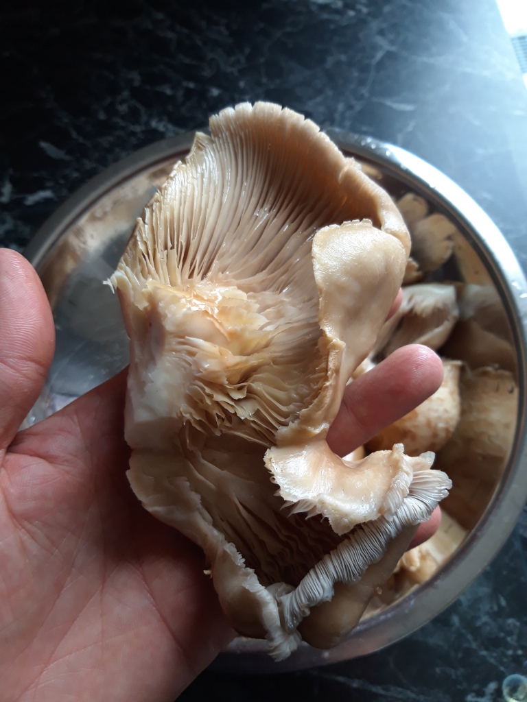 20190428_175844.jpg