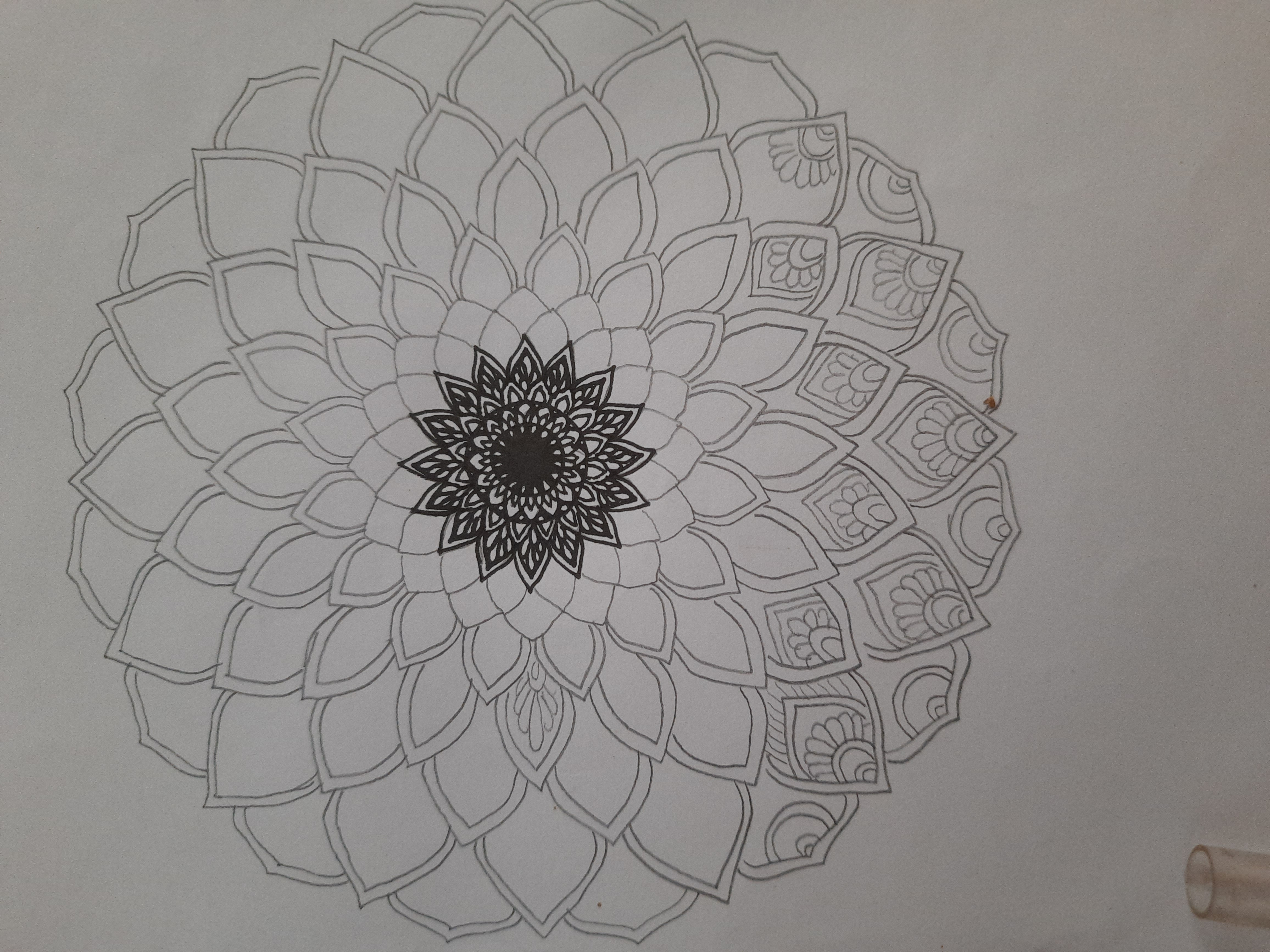 20260406_160333.jpg
