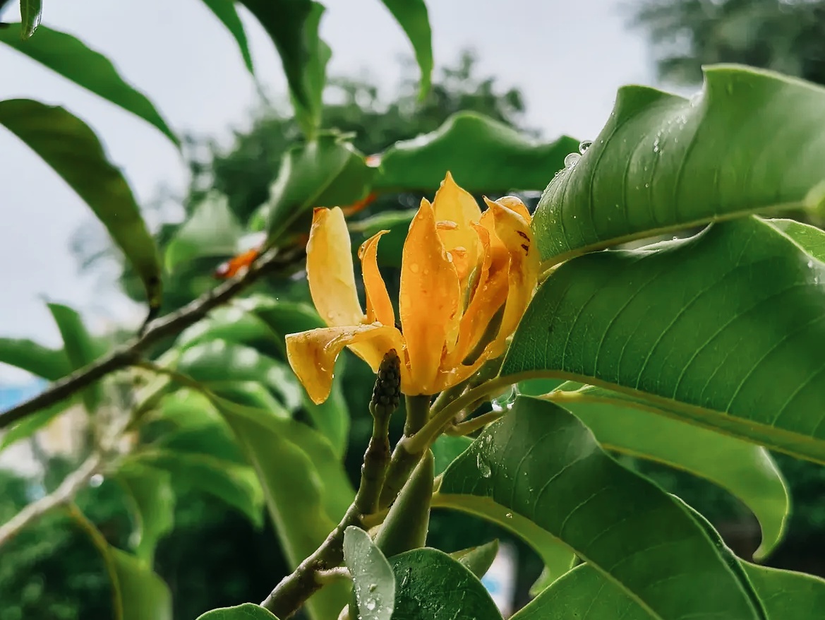 1000181797.jpg