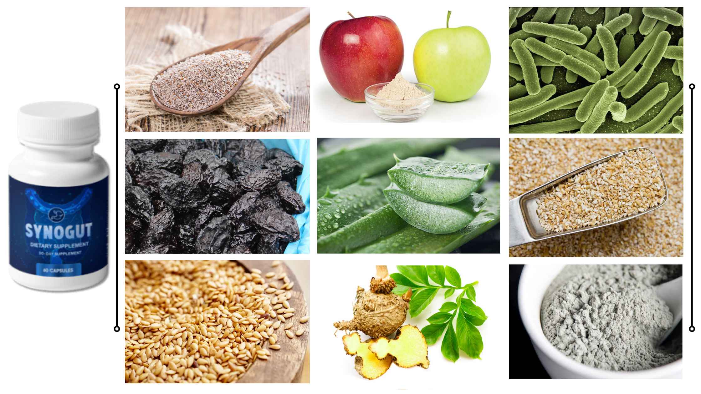 SynoGut-Ingredients.jpg