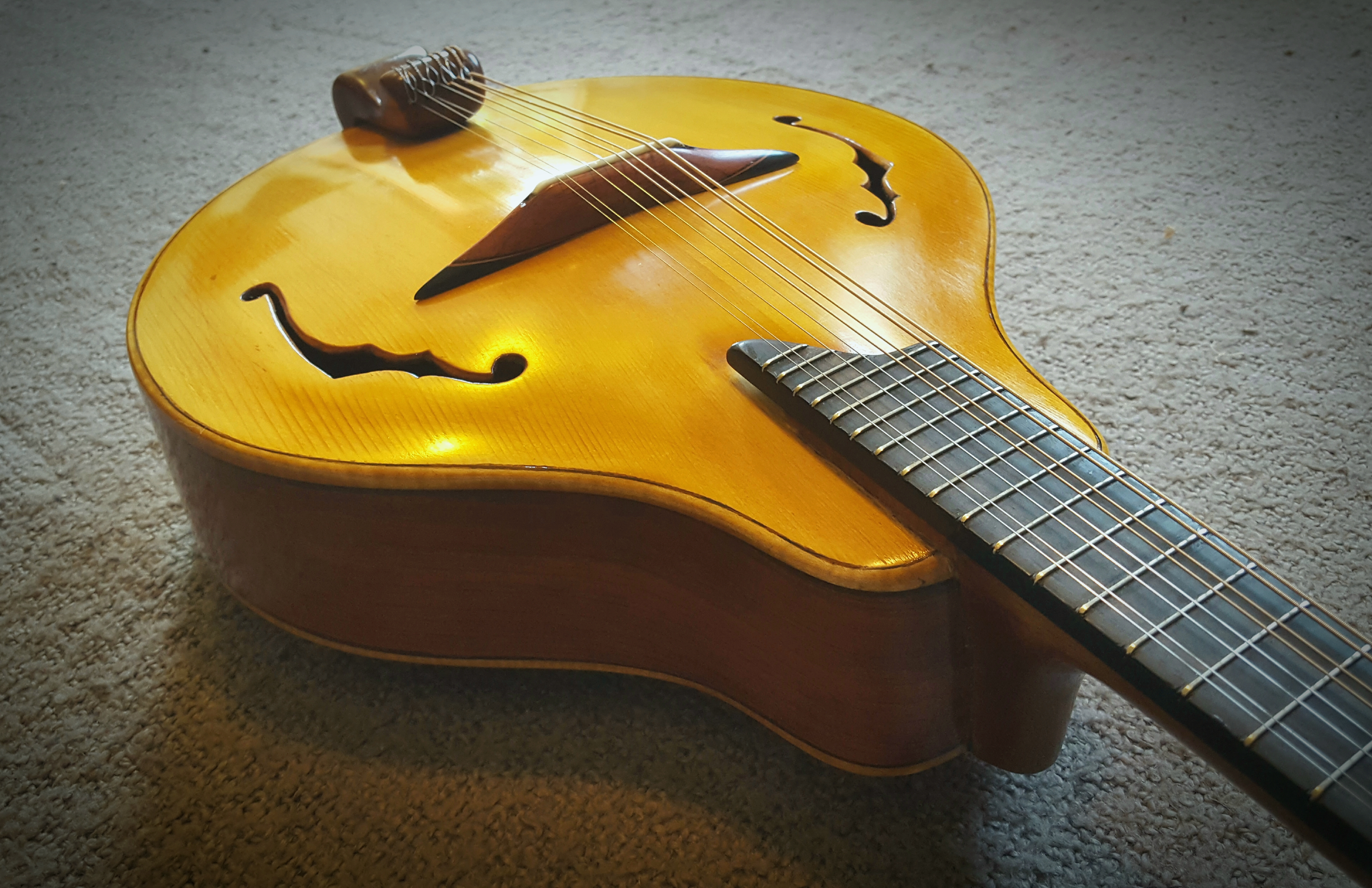 20190912_172036.jpg