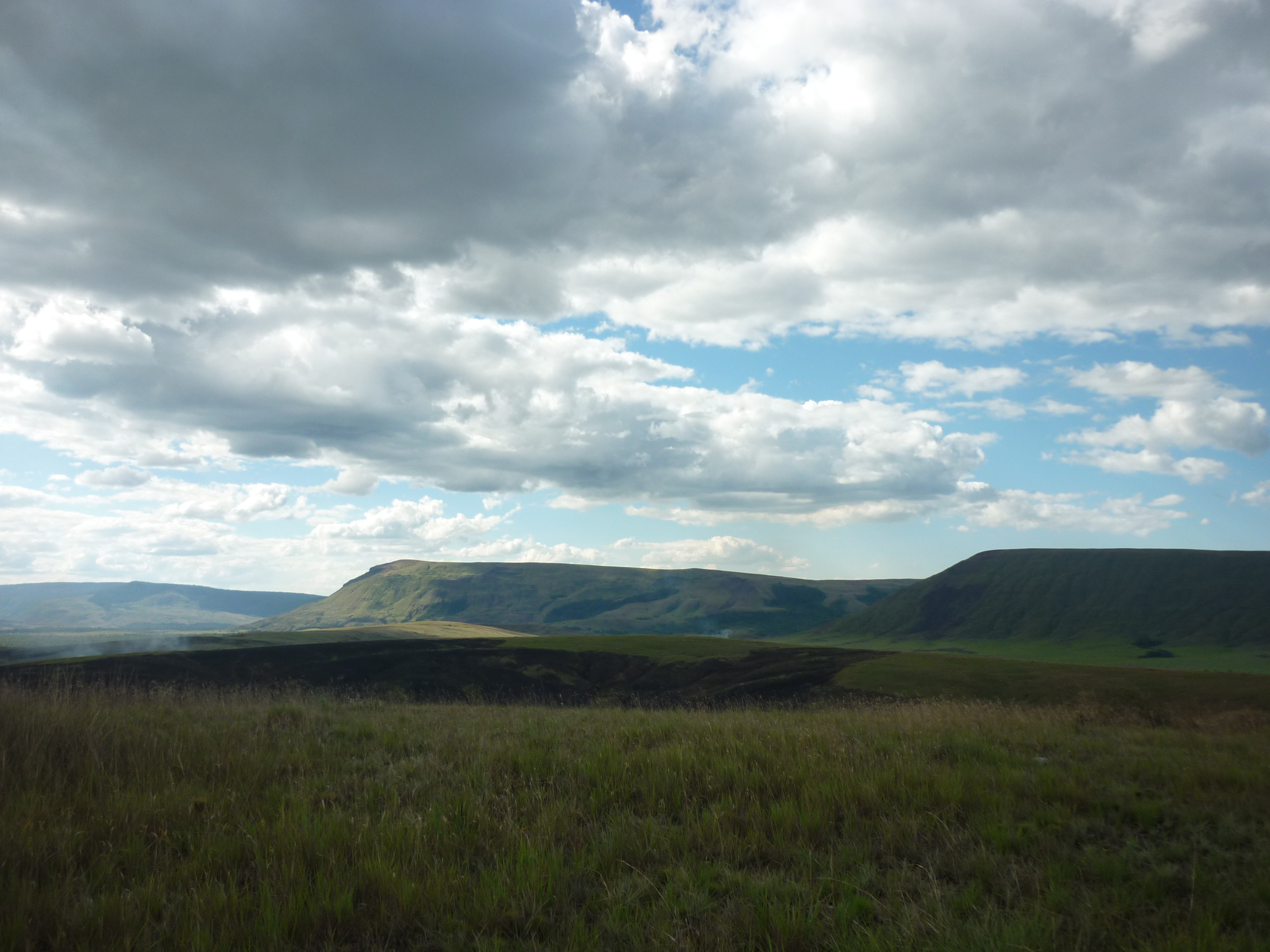 P1910446.JPG