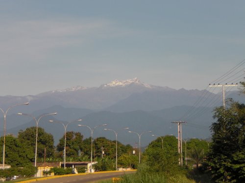 picobolivar.jpg