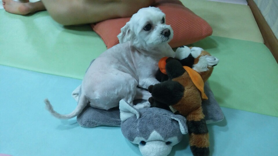 KakaoTalk_20180728_023028544.jpg