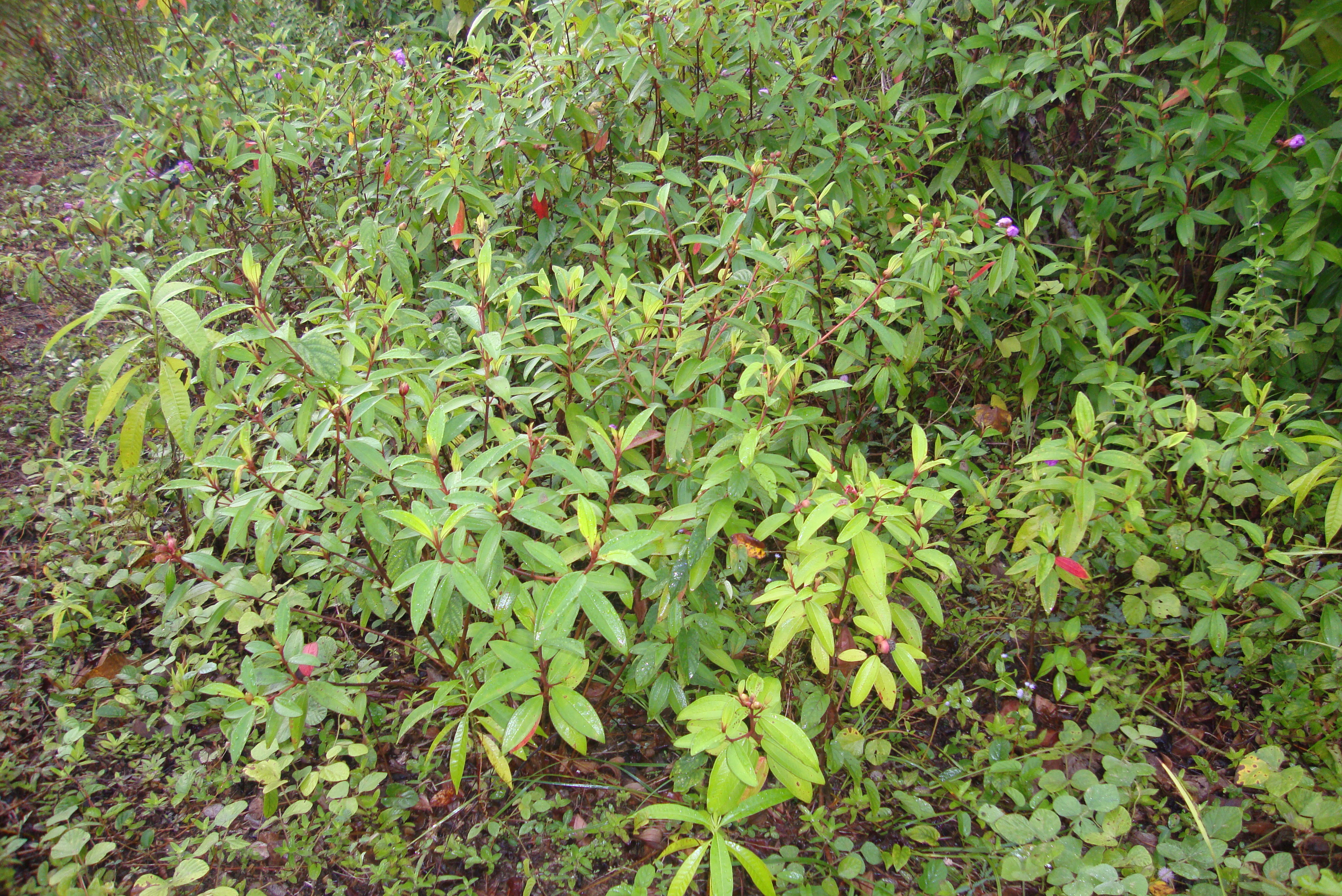 DSC03130.JPG
