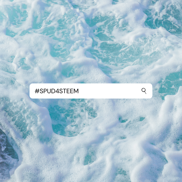 Steemit Steem Blog.jpg