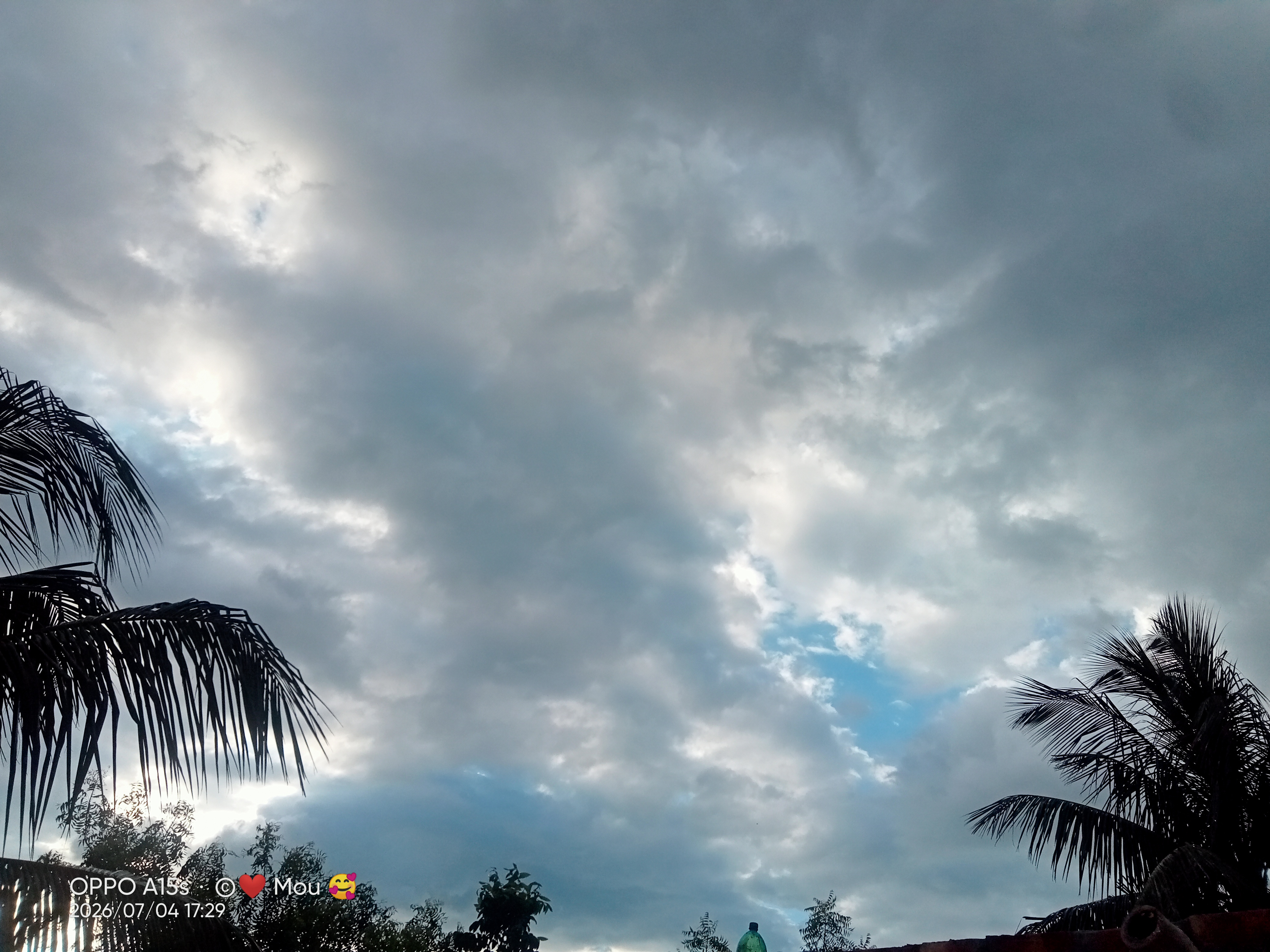 IMG20260704172948.jpg