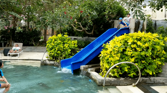 20180729_151342_1.gif