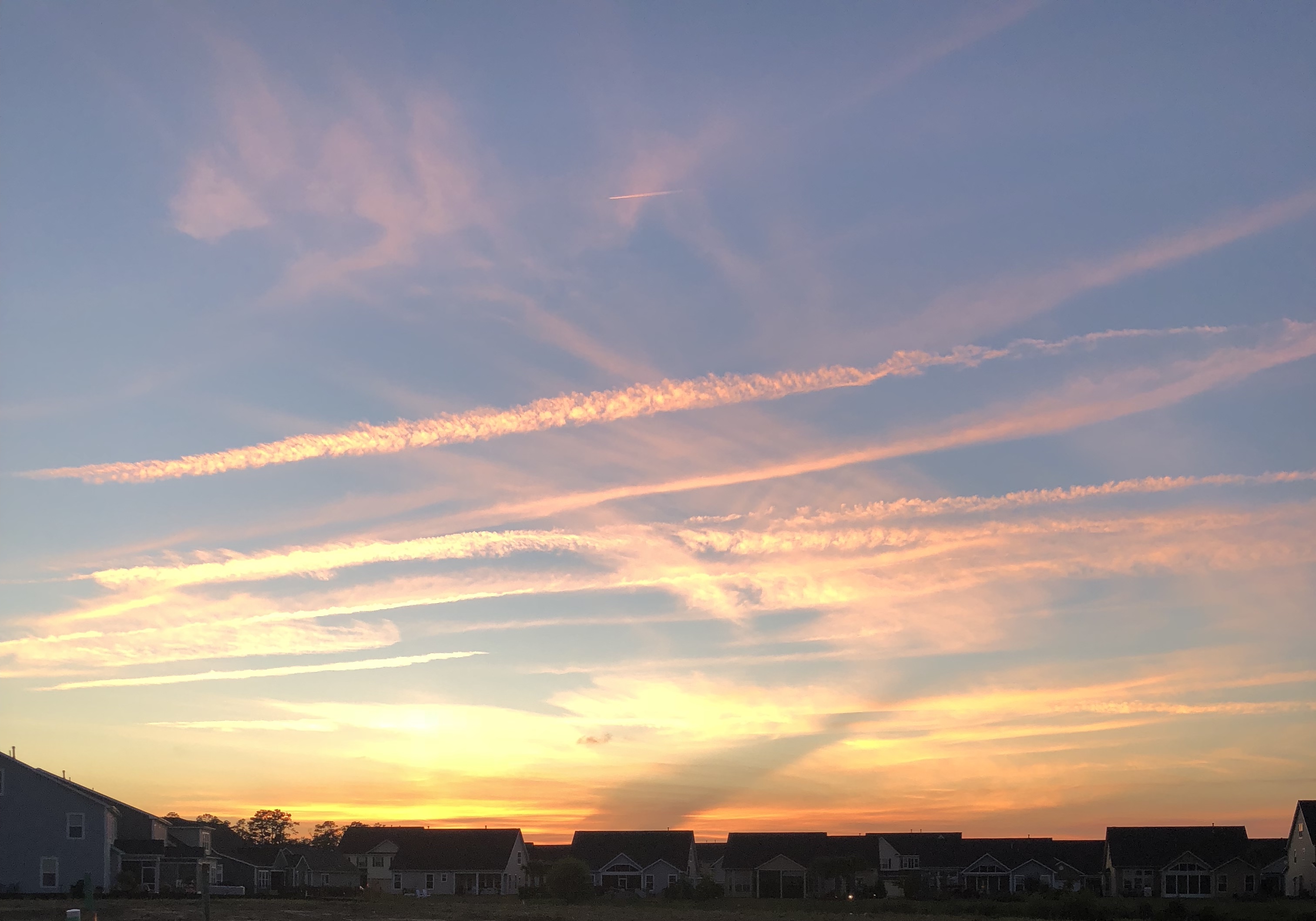 40113A1C-CF83-4A3F-9444-E8AA6504511E.jpeg