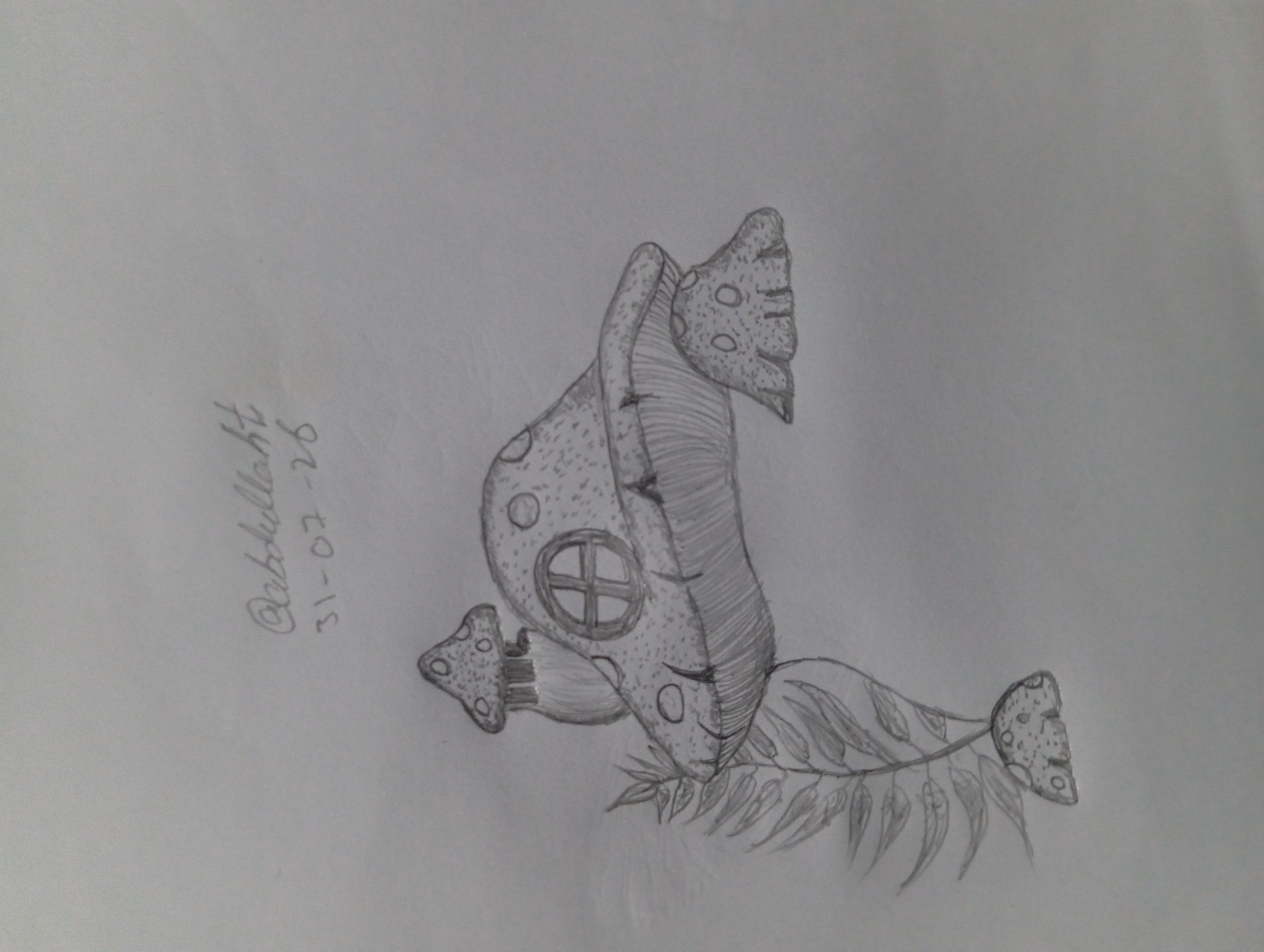 1000199503.jpg