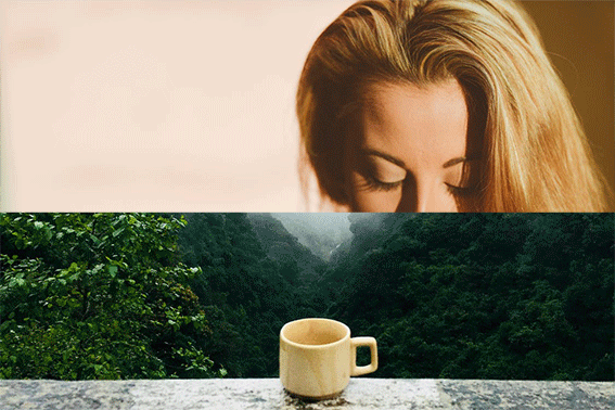 01.gif