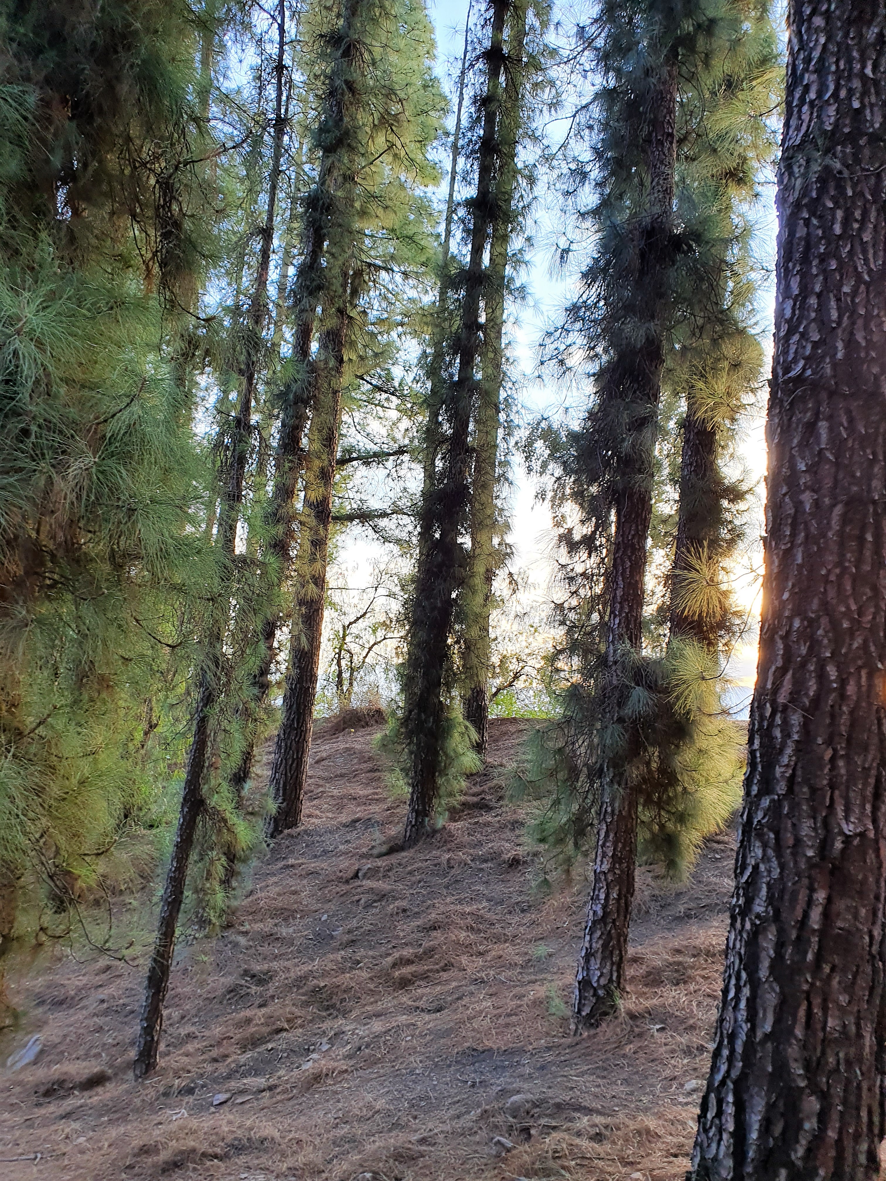 20210727_175453.jpg