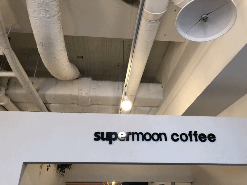 moon_1.gif
