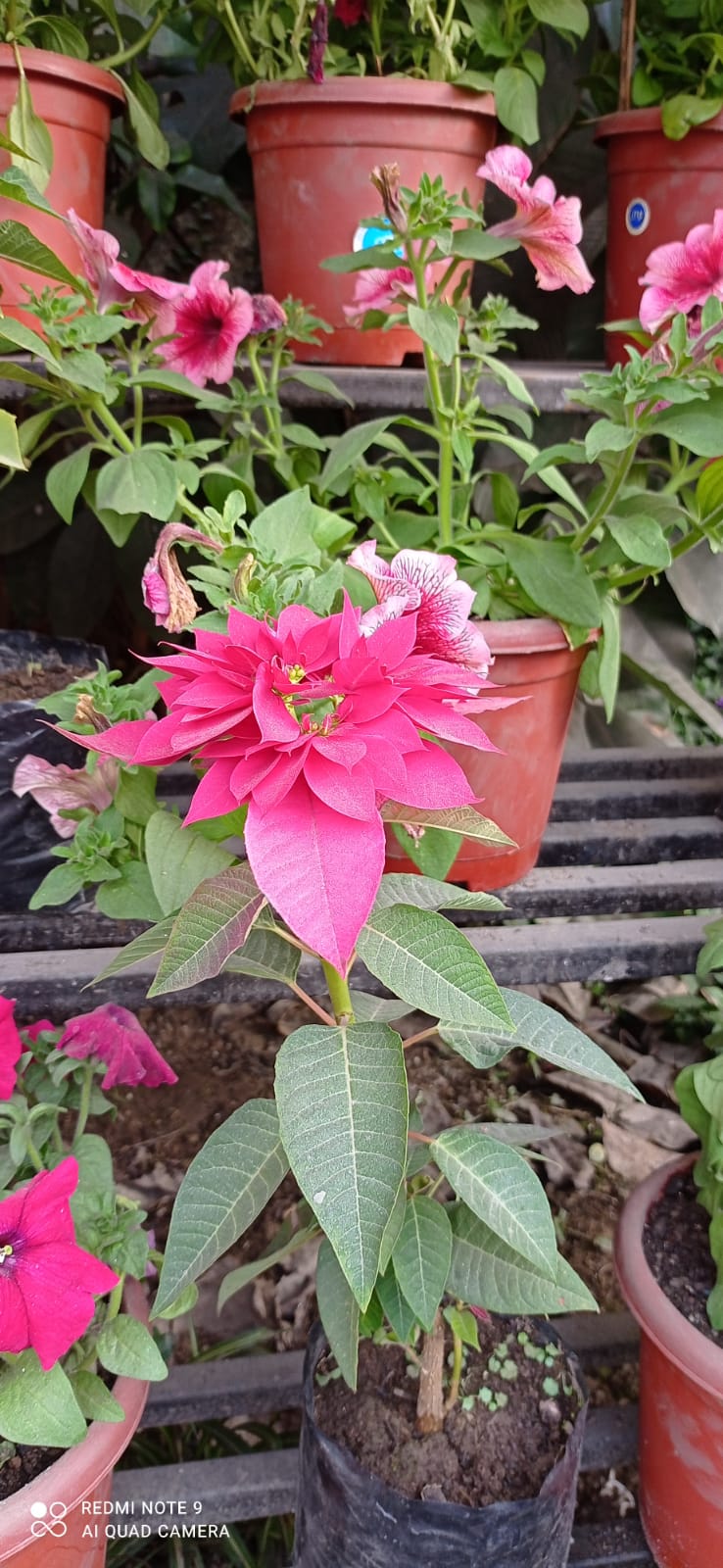 WhatsApp Image 2023-01-09 at 11.37.54 PM (2).jpeg