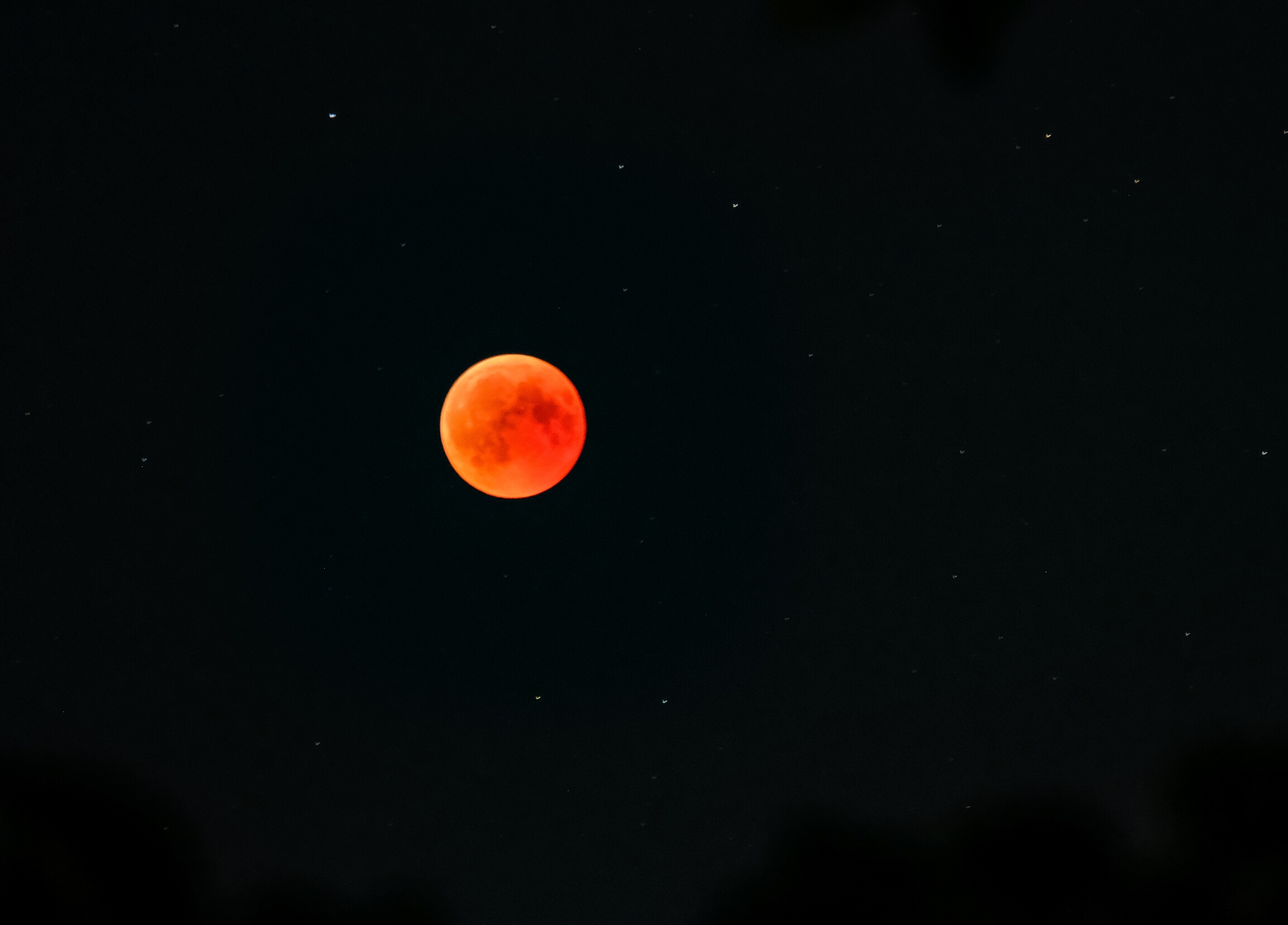 Bloody moon 1.jpg