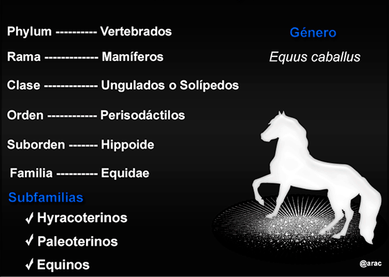 titul varios